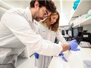 Sử dụng chính các tế bào miễn dịch của bệnh nhân để tiêu diệt tế bào ung thư